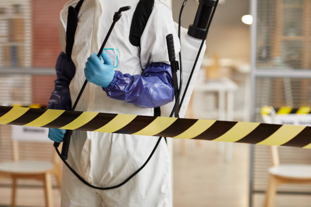 Professional Blood Cleanup technician working in Meadow Grove, NE